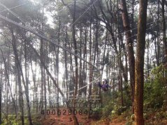 叢林軌道滑索飛索在廣西景區成功安裝